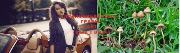 прущий лед Горнозаводск